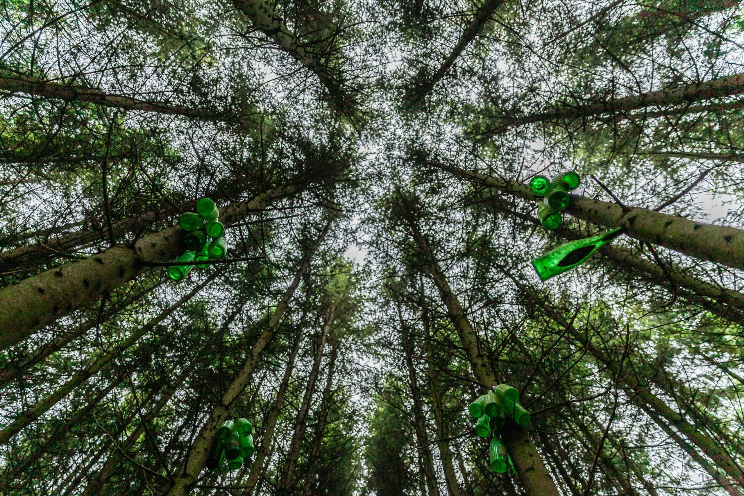 2024 Nürburgring 24 Hours bottle trees