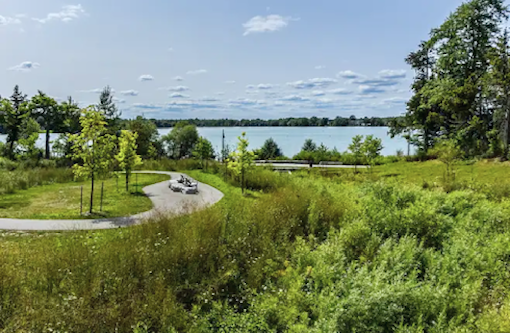 A road next to a lake surrounded by grass and trees